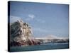 Flock of Birds Above the Coast Near Pisco, Peru, South America-Rob Cousins-Stretched Canvas