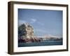 Flock of Birds Above the Coast Near Pisco, Peru, South America-Rob Cousins-Framed Photographic Print