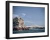 Flock of Birds Above the Coast Near Pisco, Peru, South America-Rob Cousins-Framed Photographic Print