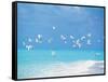 Flock of Birds Migrating Over Seascape-null-Framed Stretched Canvas