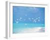 Flock of Birds Migrating Over Seascape-null-Framed Premium Photographic Print