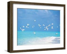 Flock of Birds Migrating Over Seascape-null-Framed Photographic Print