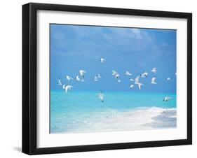 Flock of Birds Migrating Over Seascape-null-Framed Photographic Print