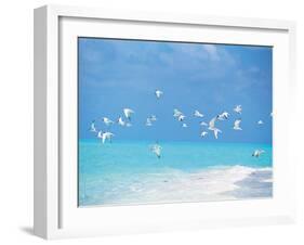 Flock of Birds Migrating Over Seascape-null-Framed Photographic Print