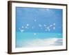 Flock of Birds Migrating Over Seascape-null-Framed Photographic Print