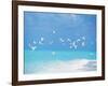 Flock of Birds Migrating Over Seascape-null-Framed Photographic Print