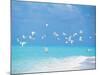 Flock of Birds Migrating Over Seascape-null-Mounted Photographic Print