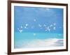 Flock of Birds Migrating Over Seascape-null-Framed Photographic Print