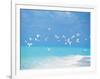 Flock of Birds Migrating Over Seascape-null-Framed Photographic Print