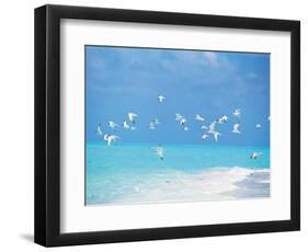 Flock of Birds Migrating Over Seascape-null-Framed Photographic Print