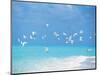 Flock of Birds Migrating Over Seascape-null-Mounted Photographic Print