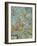 Flock of Birds; Vogelsammlung-Paul Klee-Framed Giclee Print