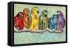 Flock of Colors-Gina Ritter-Framed Stretched Canvas