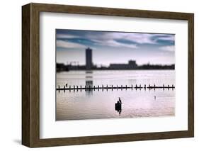 Flock of cormorants (Phalacrocorax carbo) lined up in a lake, Lake Merritt, Oakland, California...-null-Framed Photographic Print