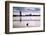 Flock of cormorants (Phalacrocorax carbo) lined up in a lake, Lake Merritt, Oakland, California...-null-Framed Photographic Print