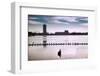 Flock of cormorants (Phalacrocorax carbo) lined up in a lake, Lake Merritt, Oakland, California...-null-Framed Photographic Print