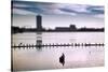 Flock of cormorants (Phalacrocorax carbo) lined up in a lake, Lake Merritt, Oakland, California...-null-Stretched Canvas