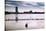 Flock of cormorants (Phalacrocorax carbo) lined up in a lake, Lake Merritt, Oakland, California...-null-Stretched Canvas