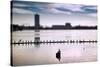 Flock of cormorants (Phalacrocorax carbo) lined up in a lake, Lake Merritt, Oakland, California...-null-Stretched Canvas