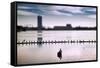 Flock of cormorants (Phalacrocorax carbo) lined up in a lake, Lake Merritt, Oakland, California...-null-Framed Stretched Canvas