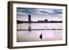 Flock of cormorants (Phalacrocorax carbo) lined up in a lake, Lake Merritt, Oakland, California...-null-Framed Photographic Print