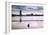 Flock of cormorants (Phalacrocorax carbo) lined up in a lake, Lake Merritt, Oakland, California...-null-Framed Photographic Print