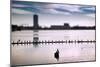 Flock of cormorants (Phalacrocorax carbo) lined up in a lake, Lake Merritt, Oakland, California...-null-Mounted Photographic Print