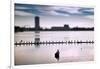 Flock of cormorants (Phalacrocorax carbo) lined up in a lake, Lake Merritt, Oakland, California...-null-Framed Photographic Print