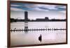 Flock of cormorants (Phalacrocorax carbo) lined up in a lake, Lake Merritt, Oakland, California...-null-Framed Photographic Print