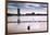 Flock of cormorants (Phalacrocorax carbo) lined up in a lake, Lake Merritt, Oakland, California...-null-Framed Photographic Print