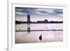 Flock of cormorants (Phalacrocorax carbo) lined up in a lake, Lake Merritt, Oakland, California...-null-Framed Photographic Print