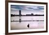 Flock of cormorants (Phalacrocorax carbo) lined up in a lake, Lake Merritt, Oakland, California...-null-Framed Photographic Print