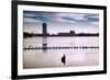 Flock of cormorants (Phalacrocorax carbo) lined up in a lake, Lake Merritt, Oakland, California...-null-Framed Photographic Print