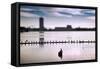 Flock of cormorants (Phalacrocorax carbo) lined up in a lake, Lake Merritt, Oakland, California...-null-Framed Stretched Canvas