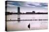 Flock of cormorants (Phalacrocorax carbo) lined up in a lake, Lake Merritt, Oakland, California...-null-Stretched Canvas