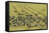 Flock of Dark-Bellied Brent Geese (Branta Bernicla) Feeding on Crops, South Swale, Kent, UK-Terry Whittaker-Framed Stretched Canvas