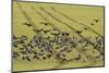 Flock of Dark-Bellied Brent Geese (Branta Bernicla) Feeding on Crops, South Swale, Kent, UK-Terry Whittaker-Mounted Photographic Print