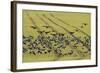 Flock of Dark-Bellied Brent Geese (Branta Bernicla) Feeding on Crops, South Swale, Kent, UK-Terry Whittaker-Framed Photographic Print