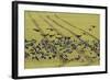 Flock of Dark-Bellied Brent Geese (Branta Bernicla) Feeding on Crops, South Swale, Kent, UK-Terry Whittaker-Framed Photographic Print