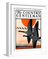 "Flock of Geese in Formation," Country Gentleman Cover, November 15, 1924-Paul Bransom-Framed Giclee Print