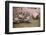Flock of Geese on a Farm-William P. Gottlieb-Framed Photographic Print