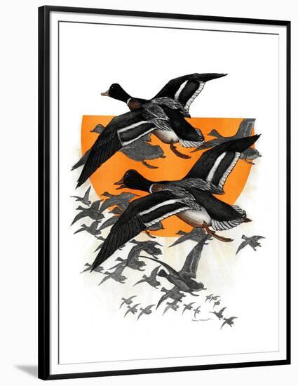 Flock of Geese-Charles Bull-Framed Premium Giclee Print