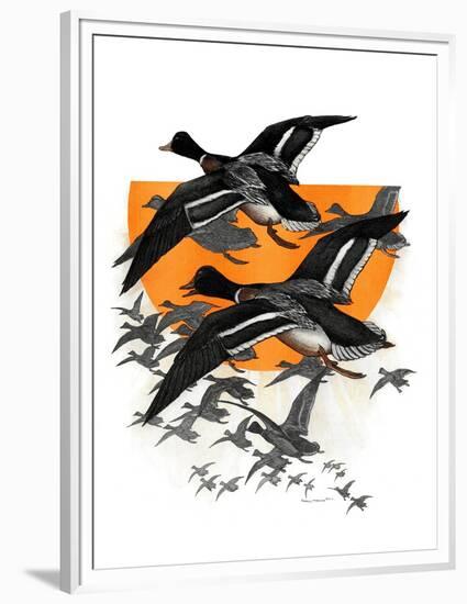 Flock of Geese-Charles Bull-Framed Premium Giclee Print