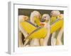 Flock of Great White Pelicans, Lake Nakuru, Kenya-null-Framed Photographic Print