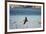 Flock of Pelicans-Toula Mavridou-Messer-Framed Photographic Print