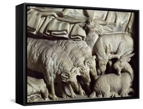 Flock of Rams-Nicola Pisano-Framed Stretched Canvas