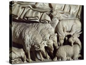 Flock of Rams-Nicola Pisano-Stretched Canvas