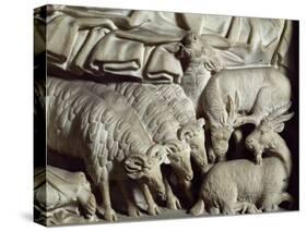 Flock of Rams-Nicola Pisano-Stretched Canvas
