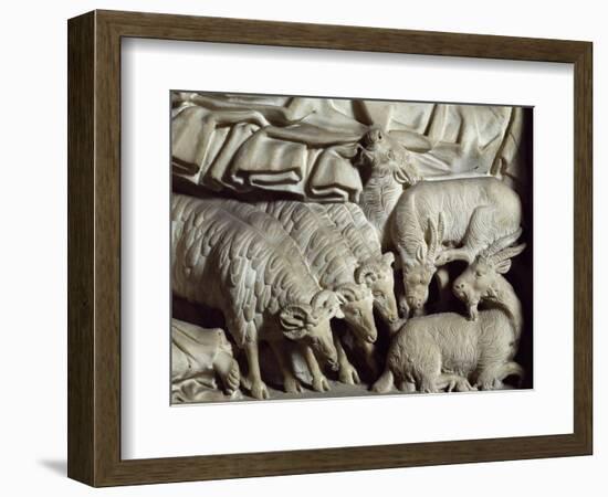 Flock of Rams-Nicola Pisano-Framed Giclee Print