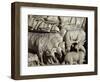 Flock of Rams-Nicola Pisano-Framed Giclee Print